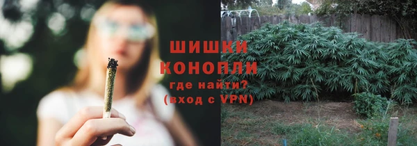 спиды Богородицк