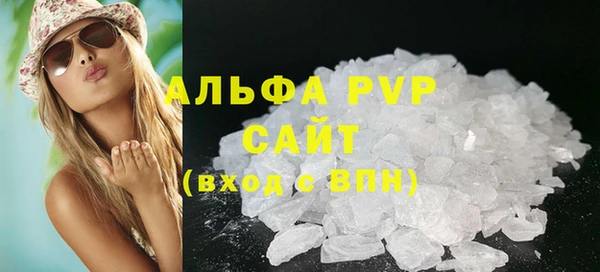 спиды Богородицк