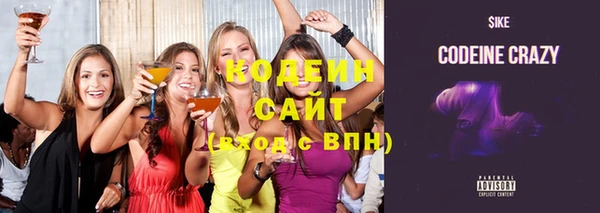 спиды Богородицк