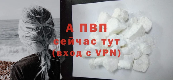 спиды Богородицк