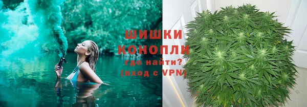 PSILOCYBIN Богородск