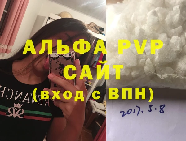 спиды Богородицк