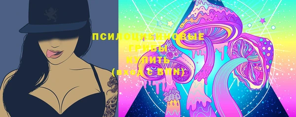 PSILOCYBIN Богородск