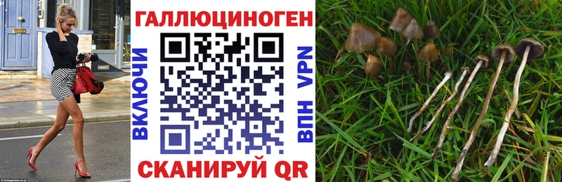 Псилоцибиновые грибы Magic Shrooms  нарко площадка как зайти  Суворов 